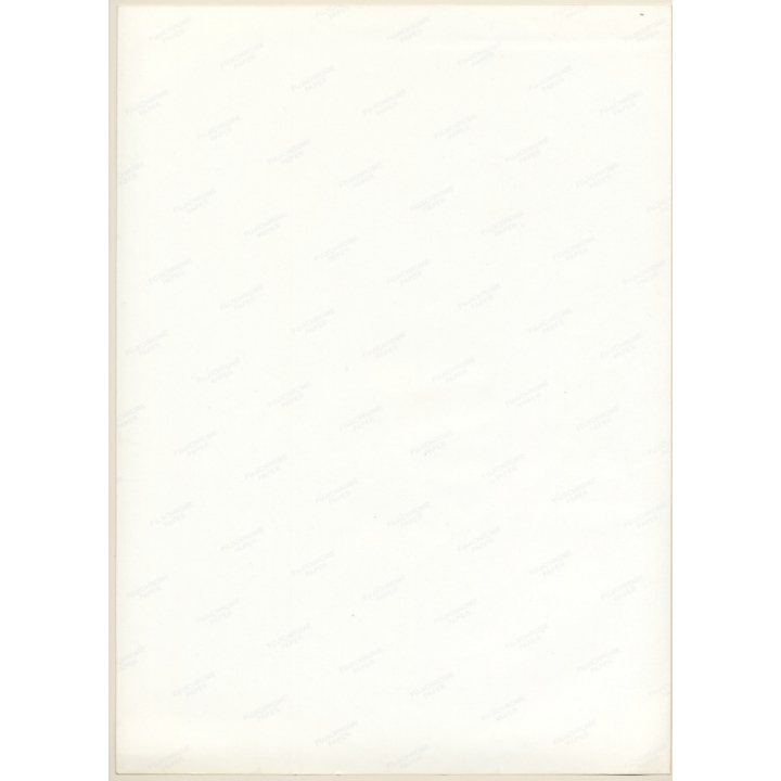 Erotic Study by Pjotr Van Moock: Blonde Nude On Floor (Vintage XL Photo 42 x 30 CM 1980s)