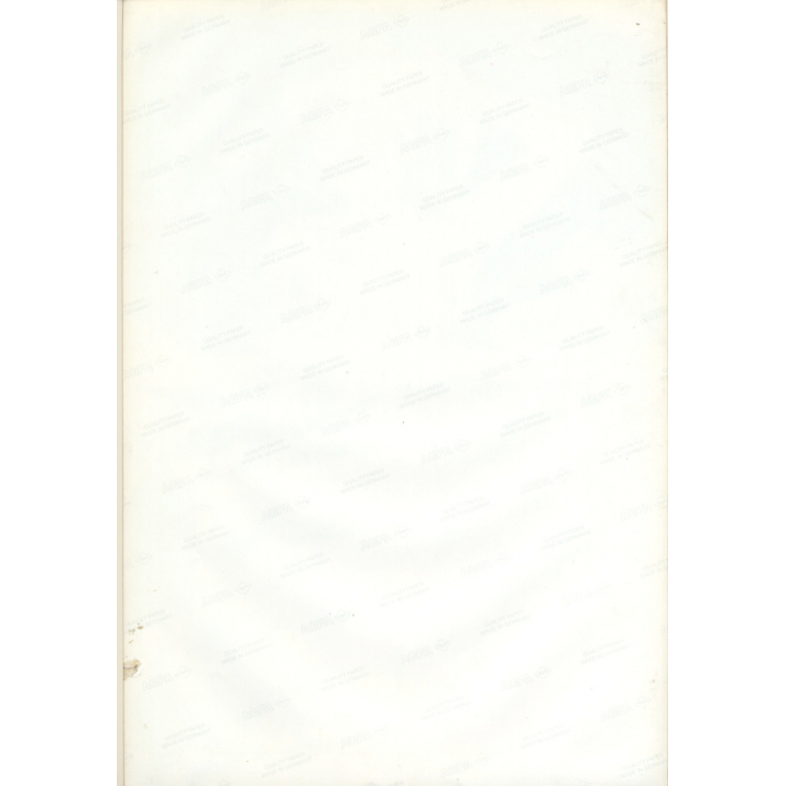 Erotic Study by Pjotr Van Moock: Slim Blonde Semi Nude Outdoors / Neon Lights (Vintage XL Photo 45 x 30 CM 1980s)