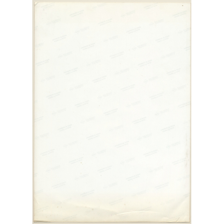 Erotic Study by Pjotr Van Moock: Portrait Of Redhead Wrapped In Cloth (Vintage XL Photo 43 x 30 CM 1980s)