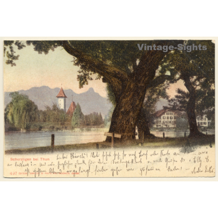 Scherzligen bei Thun / Switzerland: Partial View (Vintage PC 1904)