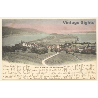 Erlach / Switzerland: St. Petersinsel - Ille de St. Pierre (Vintage PC 1905)