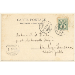Erlach / Switzerland: St. Petersinsel - Ille de St. Pierre (Vintage PC 1905)