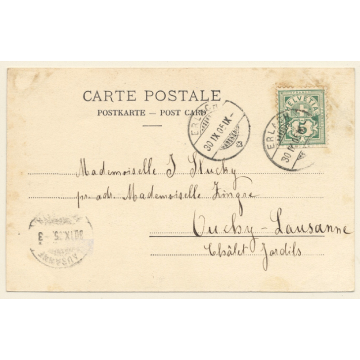 Erlach / Switzerland: St. Petersinsel - Ille de St. Pierre (Vintage PC 1905)