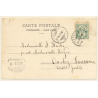 Erlach / Switzerland: St. Petersinsel - Ille de St. Pierre (Vintage PC 1905)