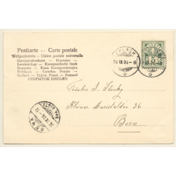 Erlach / Switzerland: Das Schloss mit Altstadt / Le Chateau (Vintage PC 1904)