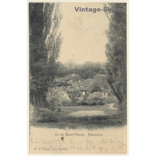 St. Petersinsel - Ille de Saint Pierre / Switzerland: Hotellerie - Hotel (Vintage PC 1903)