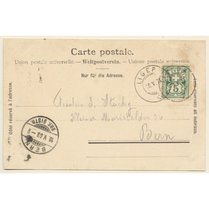 St. Petersinsel - Ille de Saint Pierre / Switzerland: Hotellerie - Hotel (Vintage PC 1903)