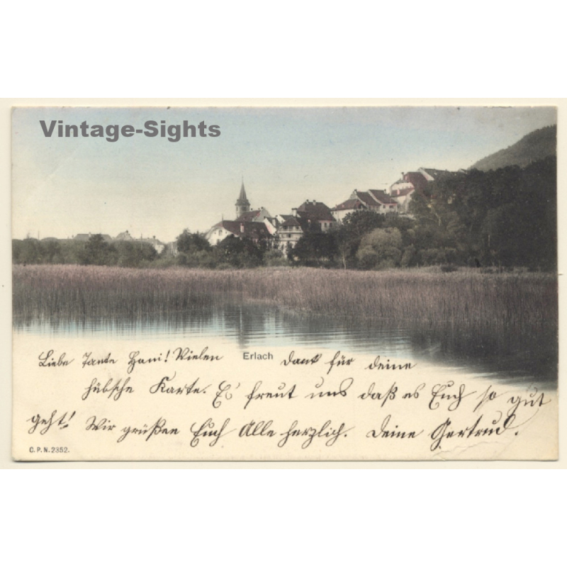 Erlach - Cerlier / Switzerland: Partial View (Vintage PC 1904)