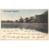 Erlach - Cerlier / Switzerland: Partial View (Vintage PC 1904)
