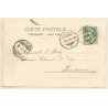 Erlach - Cerlier / Switzerland: Partial View (Vintage PC 1904)