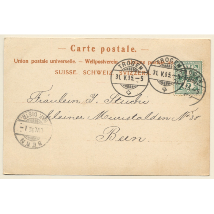 Trogen / Switzerland: Partial View (Vintage Artist PC 1905)