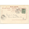 Saint-Blaise et les Alpes / Switzerland: Total View (Vintage Artist PC 1904)