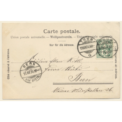 Heiligenschwendi / Switzerland: Total View (Vintage PC 1904)