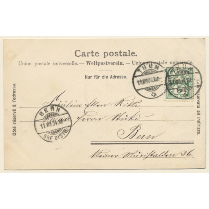 Heiligenschwendi / Switzerland: Total View (Vintage PC 1904)