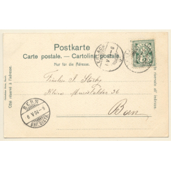 Erlach - Cerlier / Switzerland: Das Schloß - Le Château (Vintage PC 1904)