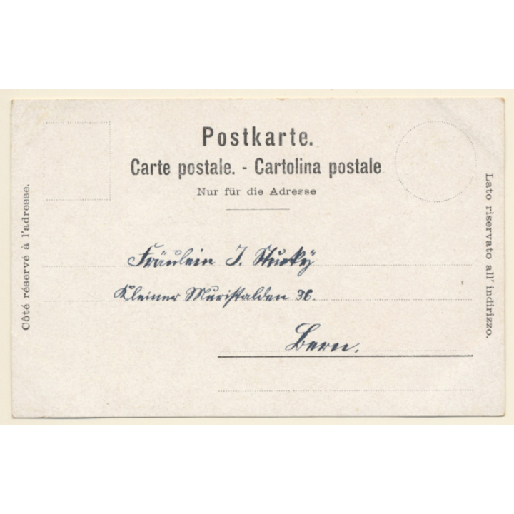 Erlach - Cerlier / Switzerland: Partial View & Lake (Vintage Artist PC 1900s)