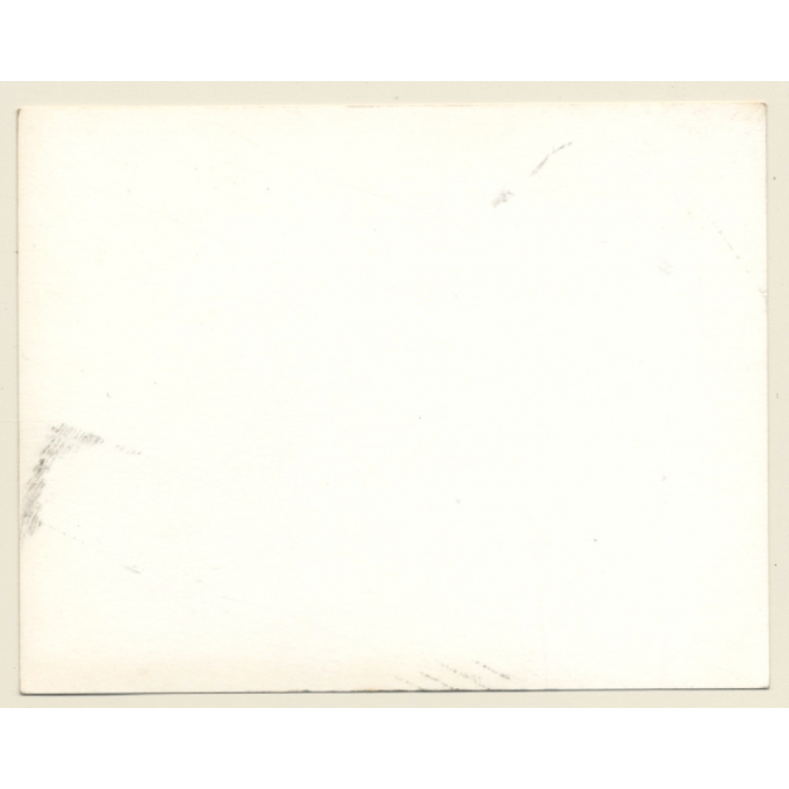 British Motocross Race N°77 / Scrambling *1 (Vintage Photo UK ~1950s)