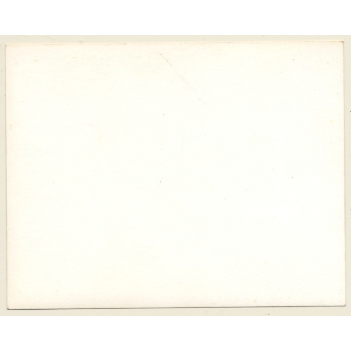 British Motocross Race N°2 N° 12 N°8 / Scrambling *2 (Vintage Photo UK ~1950s)