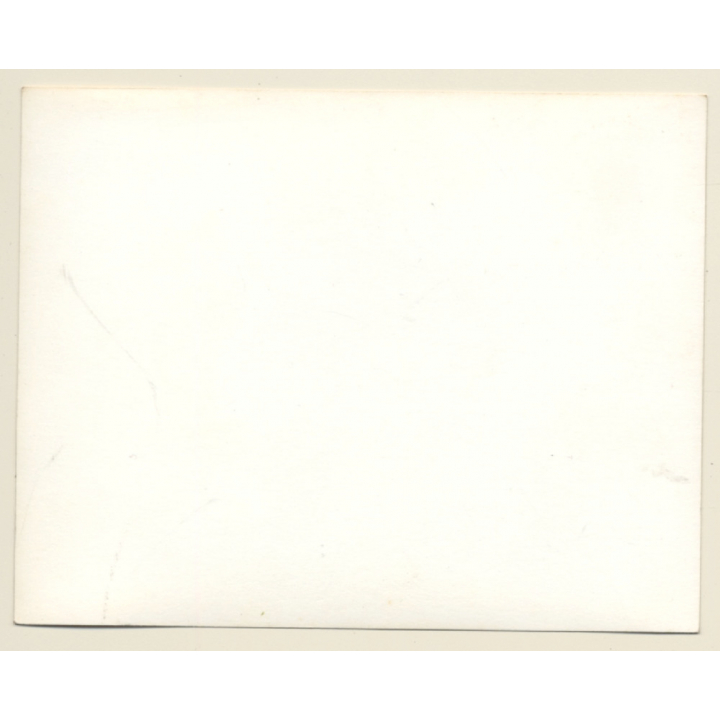 British Motocross Race N°4 N° 49 / Scrambling *3 (Vintage Photo UK ~1950s)