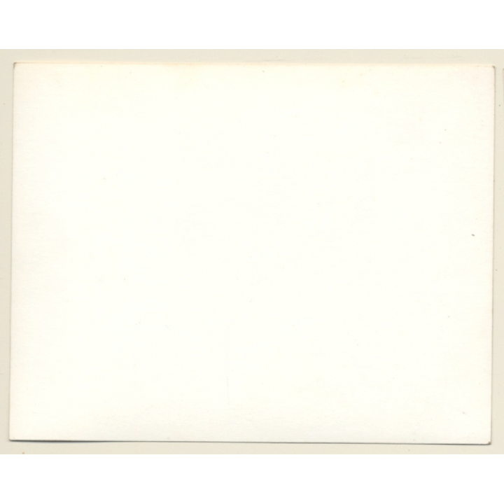 British Motocross Race N°7 N°50 / Scramble *5 (Vintage Photo UK ~1950s)