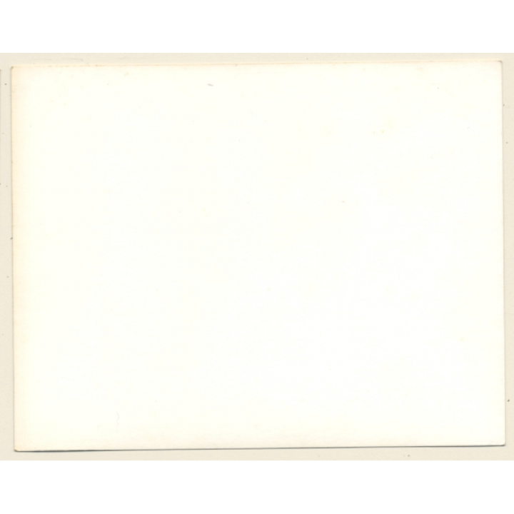 British Motocross Race N°43 / Scramble *6 (Vintage Photo UK ~1950s)