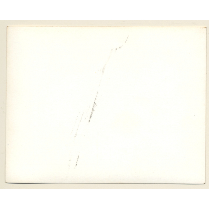 British Motocross Race N°7 'Nellie' N°31 / Scramble *7 (Vintage Photo UK ~1950s)