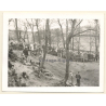British Motocross Race N°15 / Scramble *8 (Vintage Photo UK ~1950s)