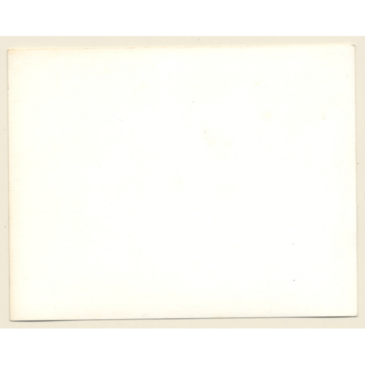 British Motocross Race N°15 / Scramble *8 (Vintage Photo UK ~1950s)