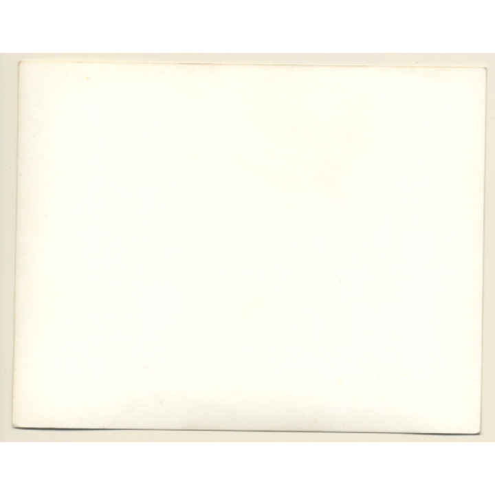 British Motocross Race N°65 / Scramble *9 (Vintage Photo UK ~1950s)