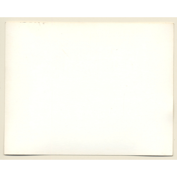 British Motocross Race N°88 / Scramble *12 (Vintage Photo UK ~1950s)