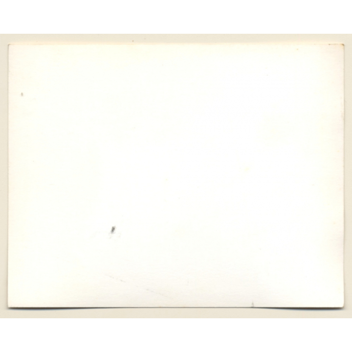 British Motocross Race N°4 / Scramble *13 (Vintage Photo UK ~1950s)