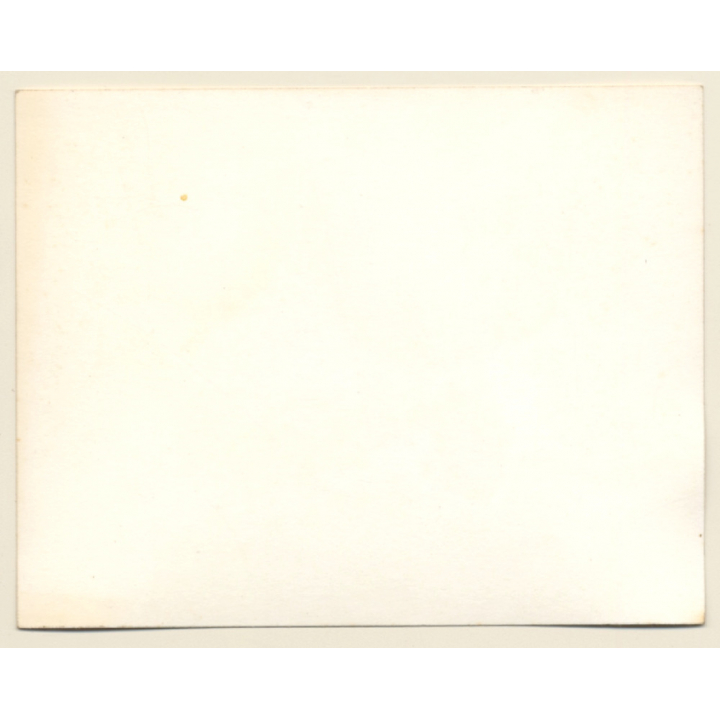 British Motocross Race Rear View  / Scramble *14 (Vintage Photo UK ~1950s)