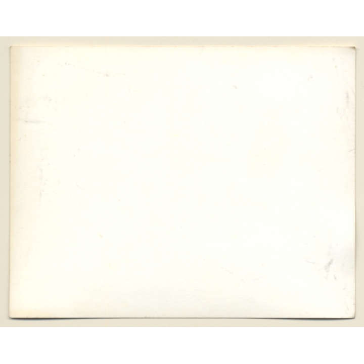 British Motocross Race N°36 N°35 N°21  / Scramble *15 (Vintage Photo UK ~1950s)