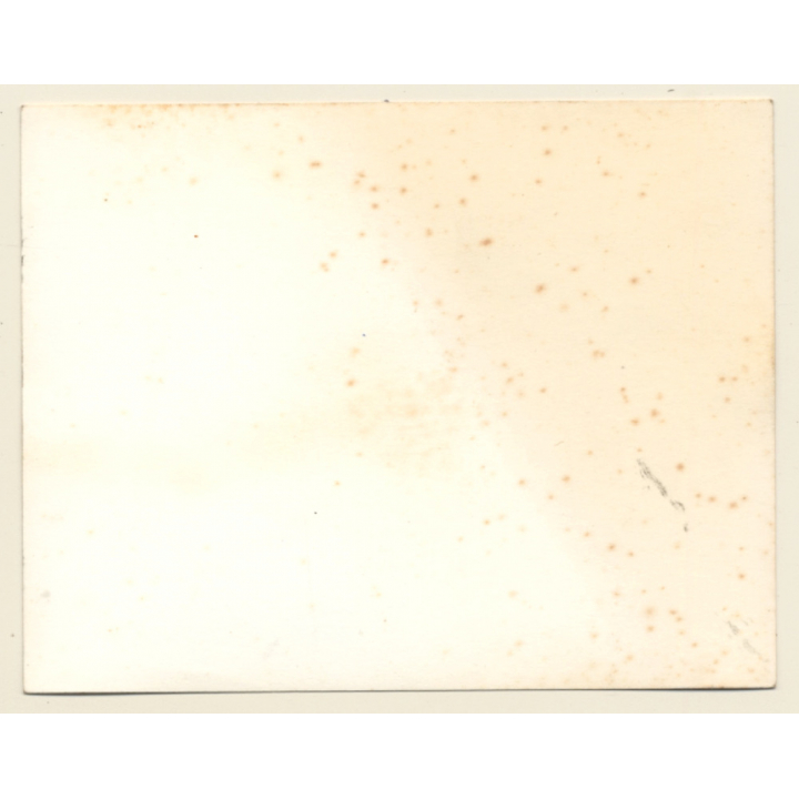 British Motocross Race N°37 N°38 Crash  / Scramble *16 (Vintage Photo UK ~1950s)