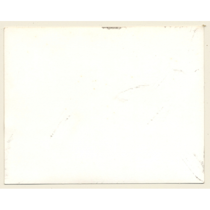 British Motocross Race - After Start  / Scramble *17 (Vintage Photo UK ~1950s)