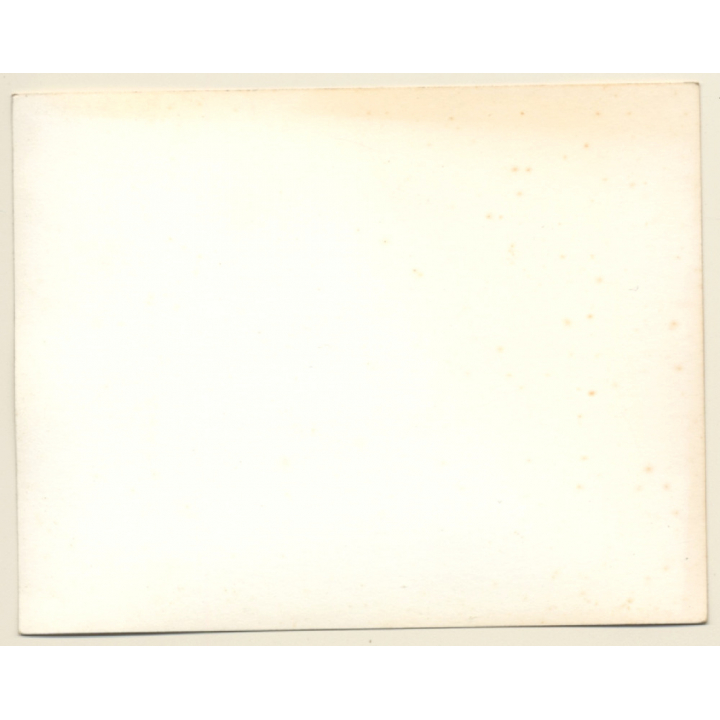 British Motocross Race N°43 N°14 N°81 N°5 / Scramble *18 (Vintage Photo UK ~1950s)