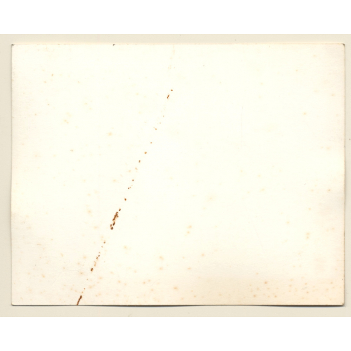 British Motocross Race N°10 / Scramble *19 (Vintage Photo UK ~1950s)