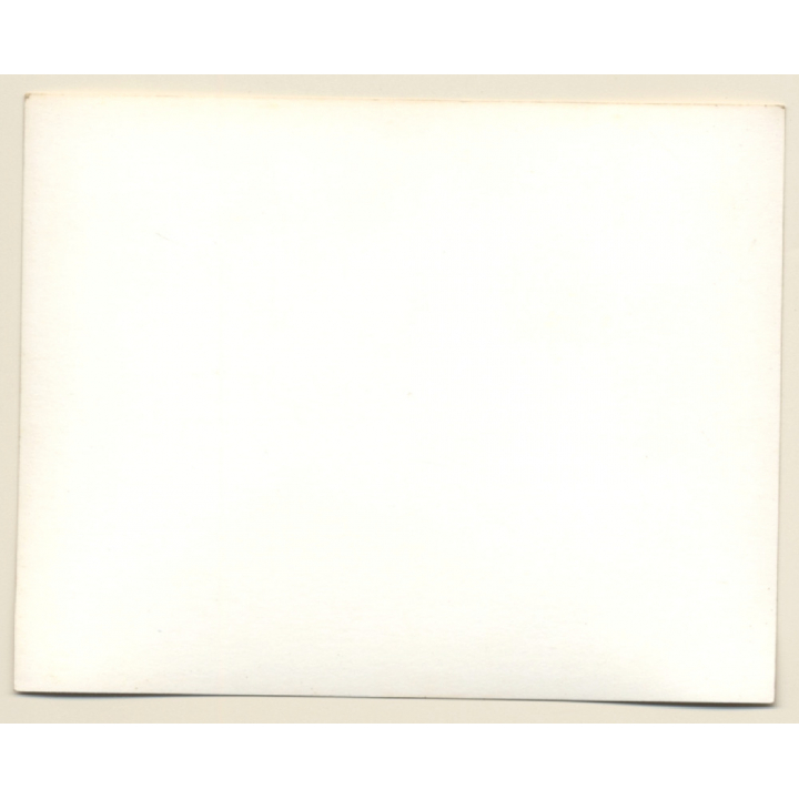 British Motocross Race N°8 Crashed / Scramble *20 (Vintage Photo UK ~1950s)