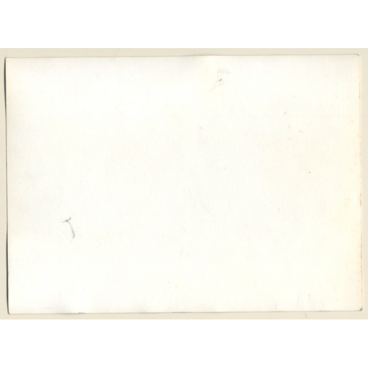 British Motocross Race N°25 N°37 N°38 N°22 Crash / Scramble *24 (Vintage Photo UK ~1950s)