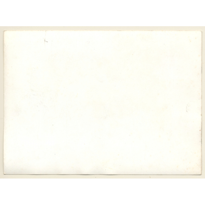 British Motocross Race N°63 N°43 N°54  / Scramble *25 (Vintage Photo UK ~1950s)