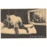 1920s Erotica: Lesbian Fantasy *5 / Risqué - Boudoir (PC RE ~1960s)