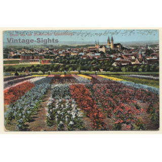 Quedlinburg / Sachsen-Anhalt: Total View - Blumenstadt (Vintage Postcard ~1920s)