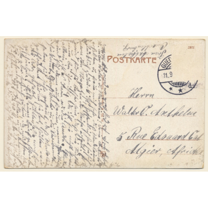 Quedlinburg / Sachsen-Anhalt: Total View - Blumenstadt (Vintage Postcard ~1920s)