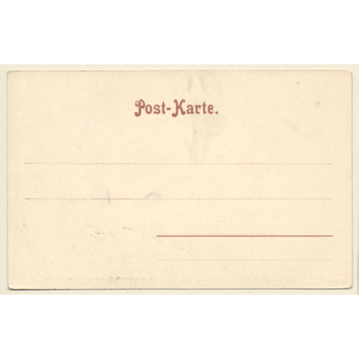 Hamburg / Germany: Vor der Börse (Vintage Stereo View PC 1900s)