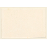 1920s Erotica: Belle Epoque Nudes*12 / Risqué - Boudoir (Vintage Trading Card ~1930s)
