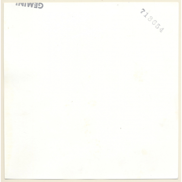 Erotic Study: 2 Darkhaired Nudes On Sheep Skin / Lesbian INT (Vintage Photo KORENJAK 1970s/1980s)