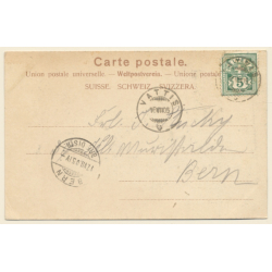 Vättis / Switzerland: Calfeusenthal - Sardonagletscher (Vintage PC 1905)
