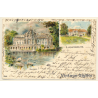 Ludwigsburg: Schloss Monrepos - Schwäne (Vintage PC 1901)