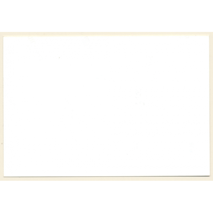 Erotic Study: Darkhaired Nude In Bed Under Blanket (Vintage Photo ~1990s)