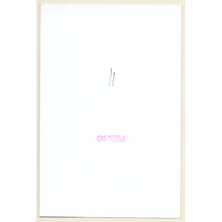 Erotic Study: Racy Natural Darkhaired Nude *1 (Vintage Photo ~1990s)